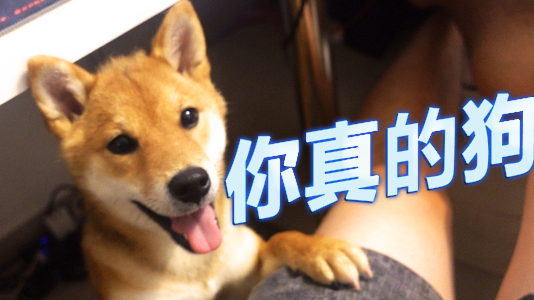 气 抖 冷 ?